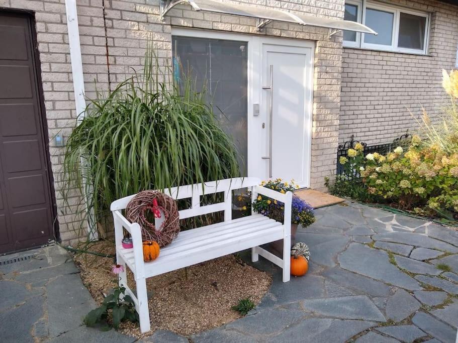 Ferienwohnung Mohnblume Mueddersheim Vettweiss エクステリア 写真
